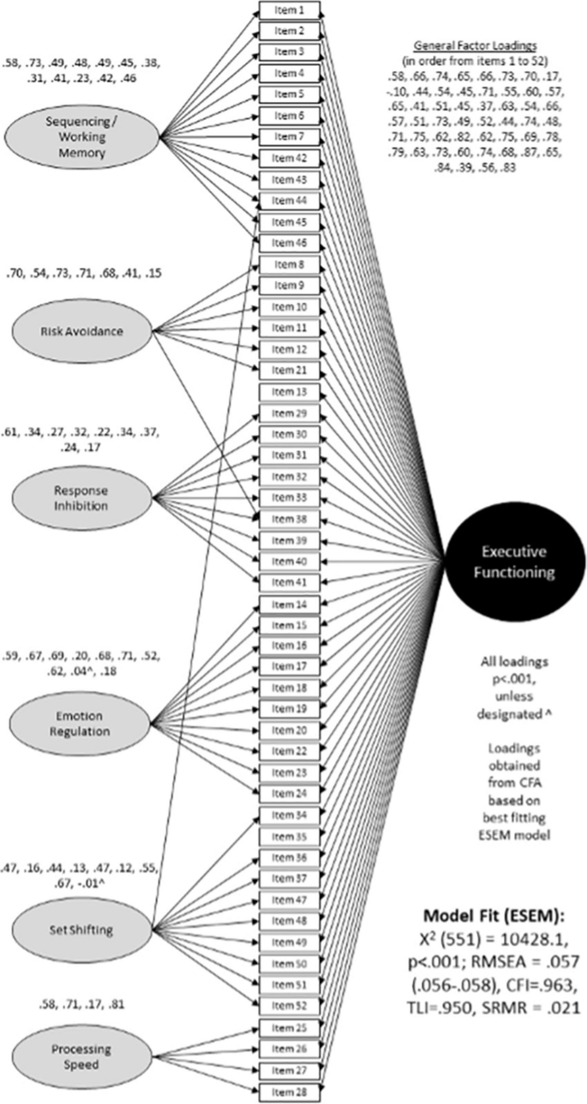 Development and validation of the Executive Functioning Scale